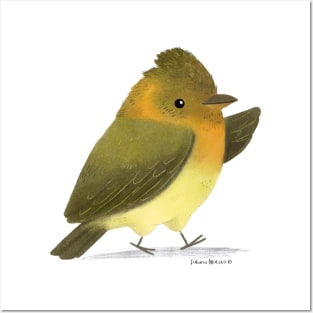 Tufted Flycatcher Bird Posters and Art